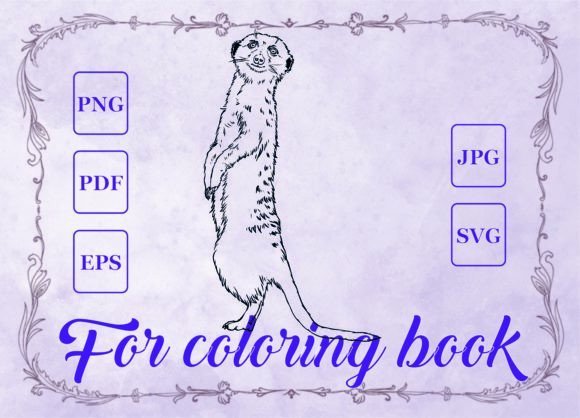 Surikat Animals Graphics & Coloring Pages Amp